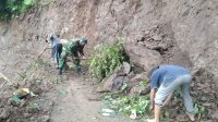 IMG-20250805-WA0008