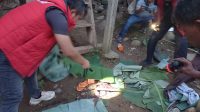 IMG-20250808-WA0014