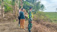 IMG-20250812-WA0010