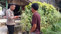 IMG-20250821-WA0004