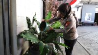 IMG-20250821-WA0018