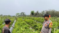 IMG-20250825-WA0020