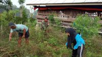 IMG-20250827-WA0022