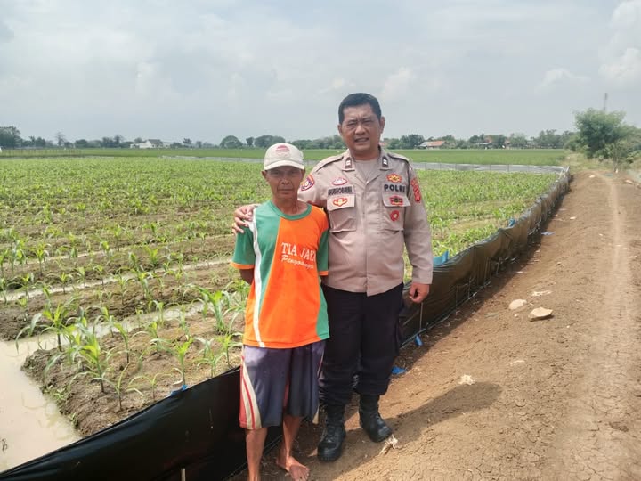 Kandanghaur