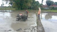 IMG-20250911-WA0025