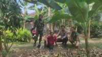 WhatsApp Image 2025-09-08 at 12.41.31