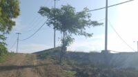 IMG-20251016-WA0548